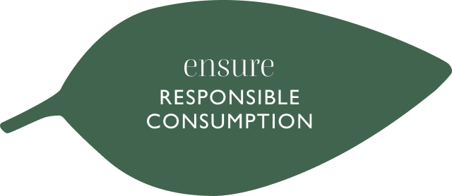 Sustainability - Leave 2 - Responsible consumption 