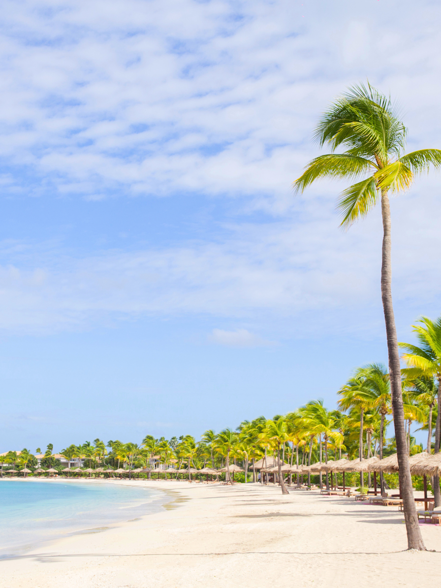 JBI - JUMBY BAY ISLAND 1290x1710